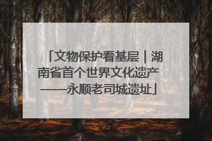 文物保护看基层｜湖南省首个世界文化遗产——永顺老司城遗址