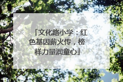 文化路小学：红色基因薪火传，榜样力量润童心
