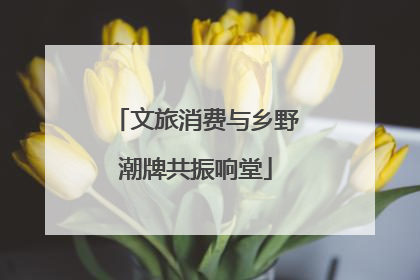 文旅消费与乡野潮牌共振响堂