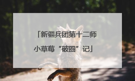新疆兵团第十二师小草莓“破圈”记