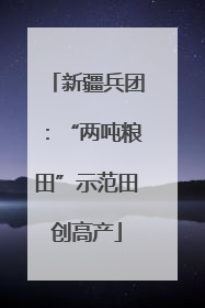 新疆兵团：“两吨粮田”示范田创高产
