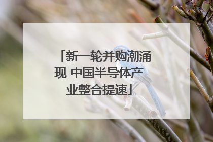 新一轮并购潮涌现 中国半导体产业整合提速