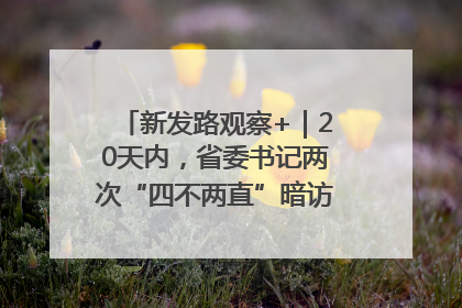新发路观察+｜20天内，省委书记两次“四不两直”暗访，有何深意？