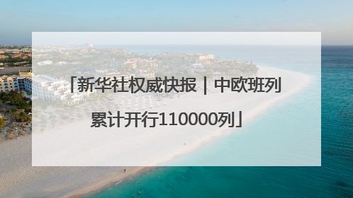 新华社权威快报｜中欧班列累计开行110000列