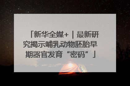 新华全媒+｜最新研究揭示哺乳动物胚胎早期器官发育“密码”