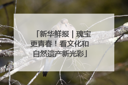 新华鲜报｜瑰宝更青春！看文化和自然遗产新光彩