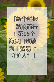 新华鲜报｜踏浪而行！第15个海员日致敬海上贸易“守护人”
