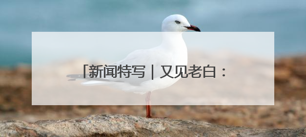 新闻特写｜又见老白：“双考”连轴转，交警“护考档”密集开启