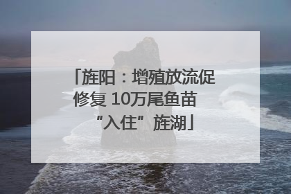 旌阳：增殖放流促修复 10万尾鱼苗“入住”旌湖