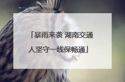 暴雨来袭 湖南交通人坚守一线保畅通