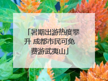 暑期出游热度攀升 成都市民可免费游武夷山