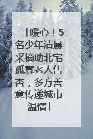 暖心！5名少年清晨采摘助北宅孤寡老人售杏，多方善意传递城市温情