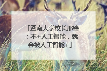 暨南大学校长邢锋：不+人工智能，就会被人工智能+