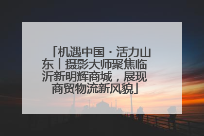 机遇中国・活力山东丨摄影大师聚焦临沂新明辉商城，展现商贸物流新风貌