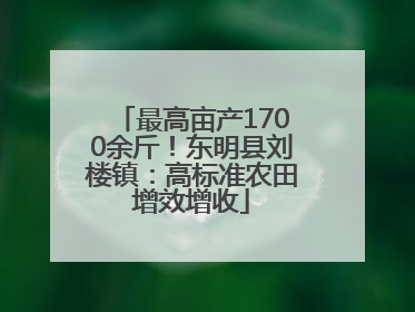 最高亩产1700余斤！东明县刘楼镇：高标准农田增效增收