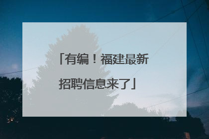 有编！福建最新招聘信息来了