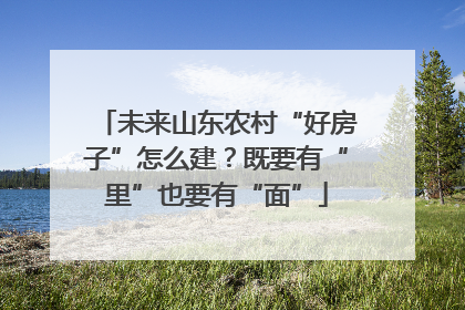 未来山东农村“好房子”怎么建？既要有“里”也要有“面”