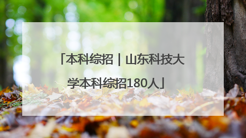 本科综招｜山东科技大学本科综招180人