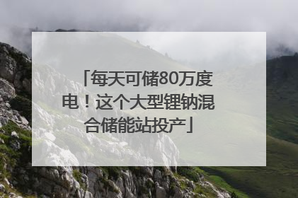 每天可储80万度电！这个大型锂钠混合储能站投产