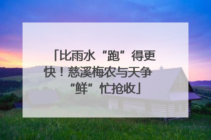 比雨水“跑”得更快！慈溪梅农与天争“鲜”忙抢收