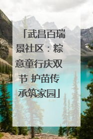 武昌百瑞景社区：粽意童行庆双节 护苗传承筑家园