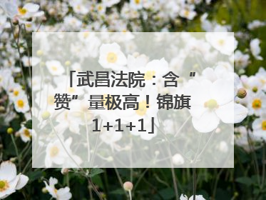 武昌法院：含“赞”量极高！锦旗1+1+1