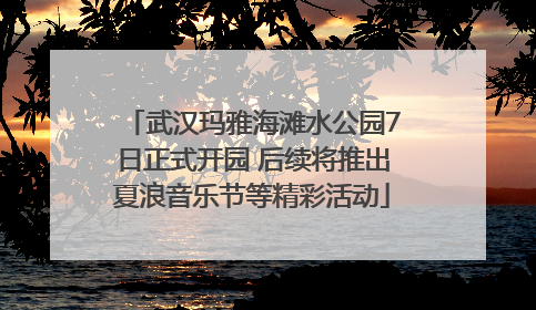 武汉玛雅海滩水公园7日正式开园 后续将推出夏浪音乐节等精彩活动