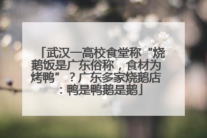 武汉一高校食堂称“烧鹅饭是广东俗称，食材为烤鸭”？广东多家烧鹅店：鸭是鸭鹅是鹅