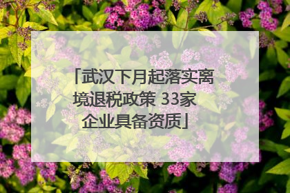 武汉下月起落实离境退税政策 33家企业具备资质