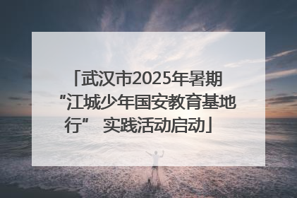 武汉市2025年暑期“江城少年国安教育基地行” 实践活动启动