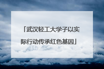 武汉轻工大学子以实际行动传承红色基因