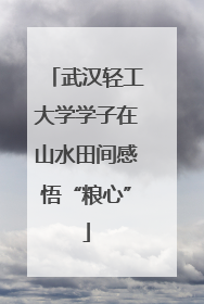 武汉轻工大学学子在山水田间感悟“粮心”