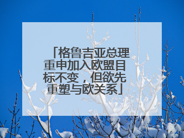 格鲁吉亚总理重申加入欧盟目标不变，但欲先重塑与欧关系