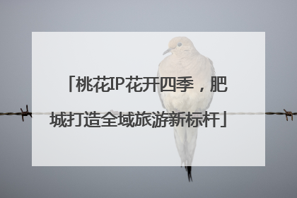 桃花IP花开四季，肥城打造全域旅游新标杆