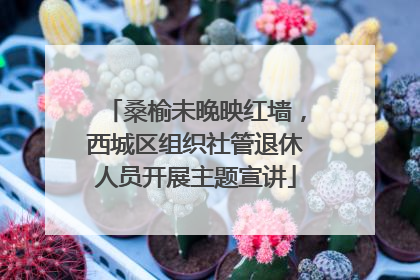 桑榆未晚映红墙，西城区组织社管退休人员开展主题宣讲