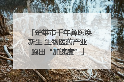 楚雄市千年彝医焕新生 生物医药产业跑出“加速度”