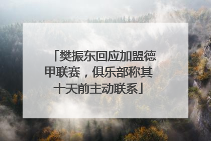 樊振东回应加盟德甲联赛，俱乐部称其十天前主动联系