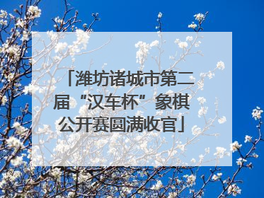 潍坊诸城市第二届“汉车杯”象棋公开赛圆满收官