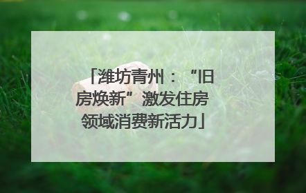 潍坊青州：“旧房焕新”激发住房领域消费新活力