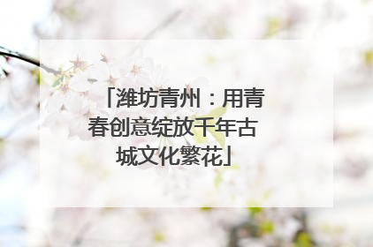 潍坊青州：用青春创意绽放千年古城文化繁花