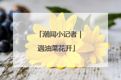 潮闻小记者｜遇油菜花开