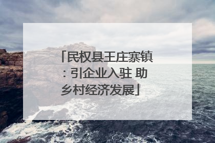 民权县王庄寨镇：引企业入驻 助乡村经济发展