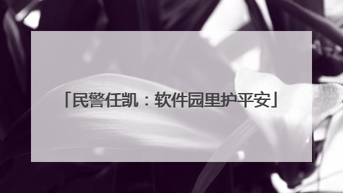 民警任凯：软件园里护平安