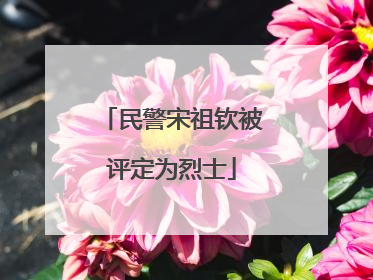 民警宋祖钦被评定为烈士