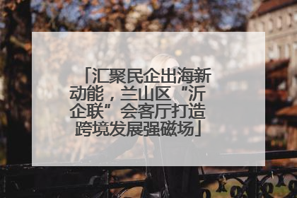汇聚民企出海新动能，兰山区“沂企联”会客厅打造跨境发展强磁场