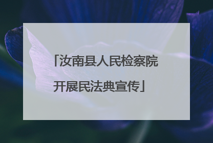 汝南县人民检察院开展民法典宣传