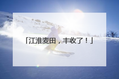 江淮麦田，丰收了！