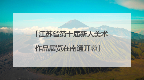 江苏省第十届新人美术作品展览在南通开幕