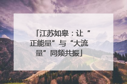 江苏如皋：让“正能量”与“大流量”同频共振
