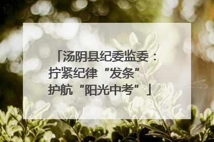 汤阴县纪委监委：拧紧纪律“发条” 护航“阳光中考”